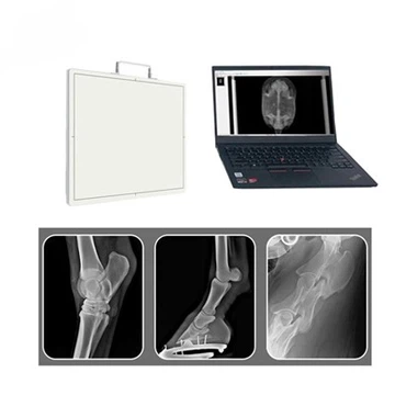 Brathadóir Painéil M1717V